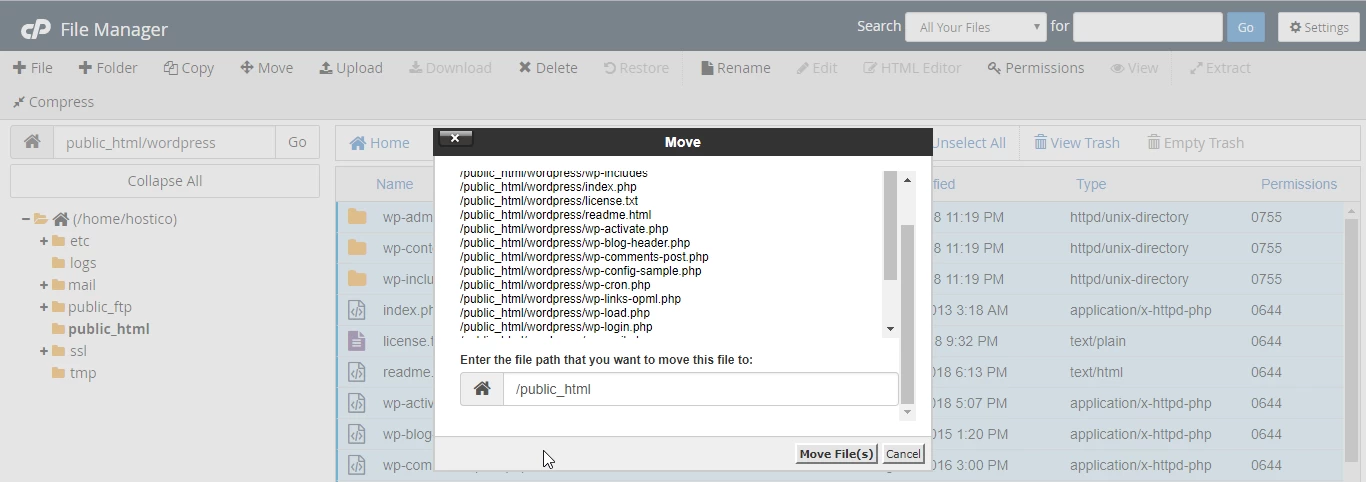 Mutare fisiere in director public_html