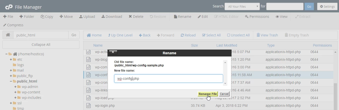Redenumire fisier file manager
