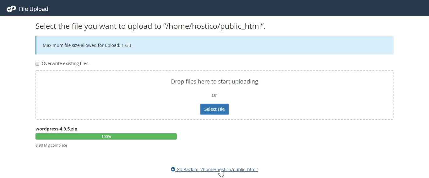 Director public_html File Upload